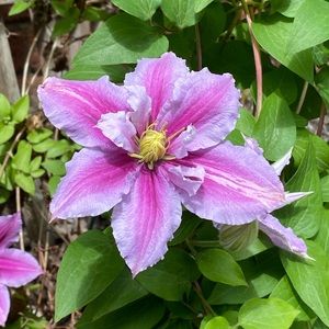 Meet your Posher, Tori